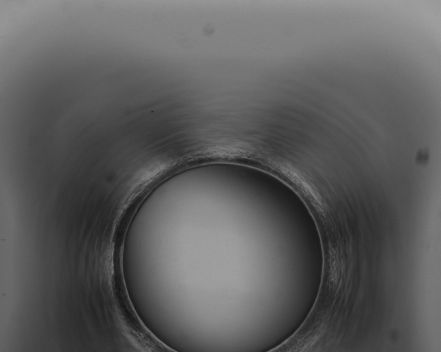 X0000098000486200804011836