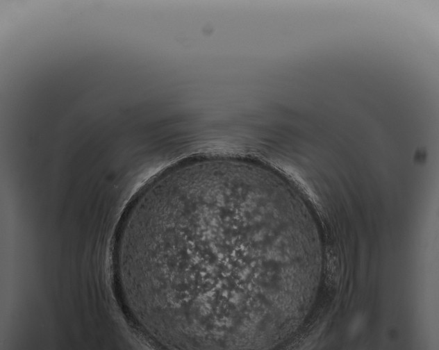 X0000098000487200804011836