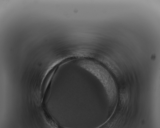 X0000098000488200804011836