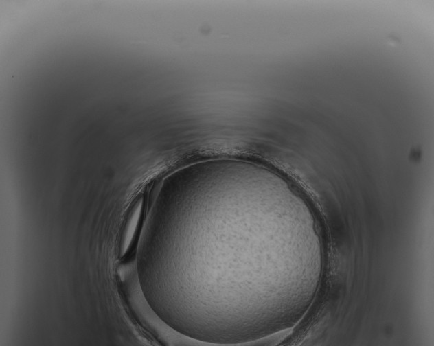 X0000098000489200804011836