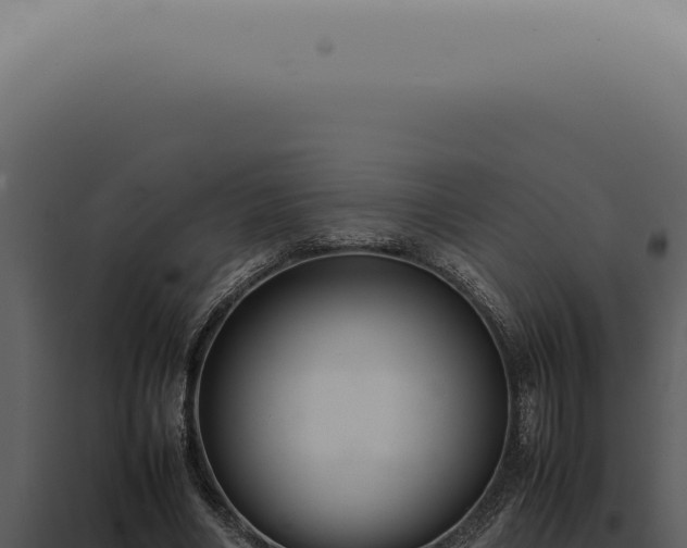 X0000098000490200804011836