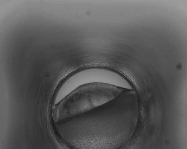 X0000098000491200804011836