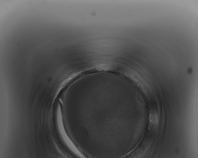X0000098000492200804011836