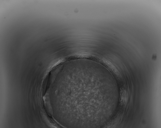X0000098000494200804011836