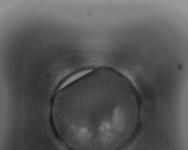 X0000098000495200804011836
