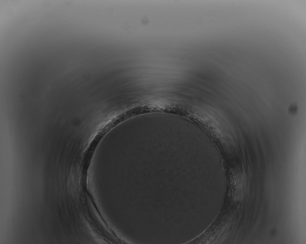X0000098000496200804011836