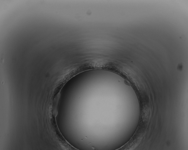 X0000098000497200804011836