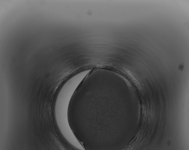 X0000098000500200804011836