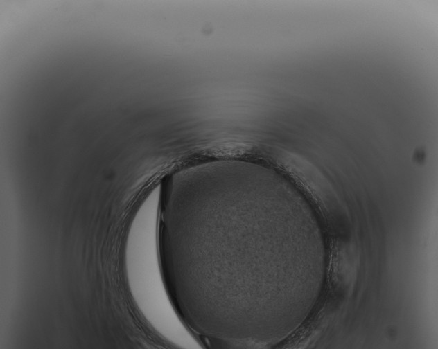 X0000098000501200804011836