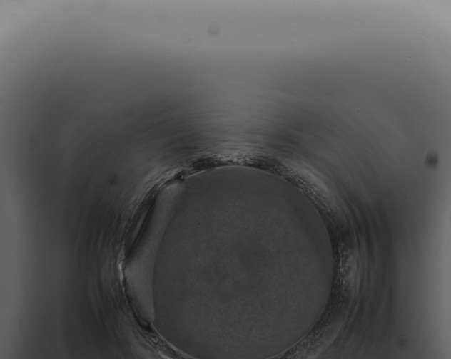 X0000098000502200804011836