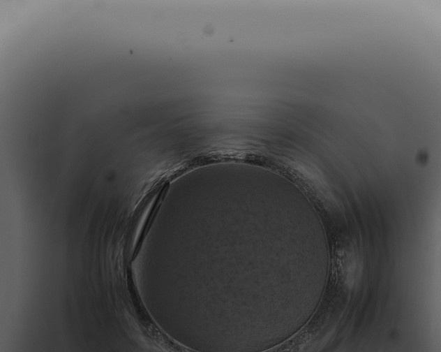 X0000098000504200804011836
