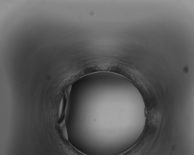X0000098000505200804011836