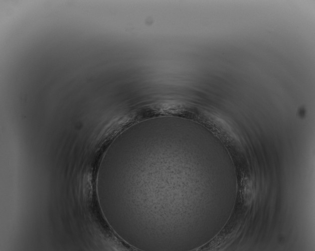 X0000098000506200804011836