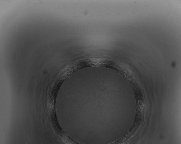 X0000098000507200804011836
