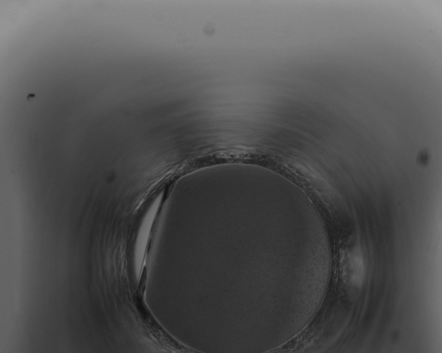 X0000098000508200804011836
