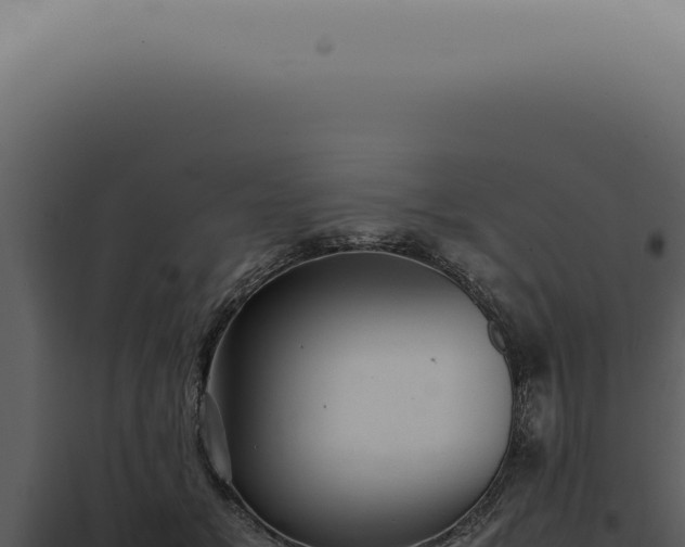 X0000098000509200804011836