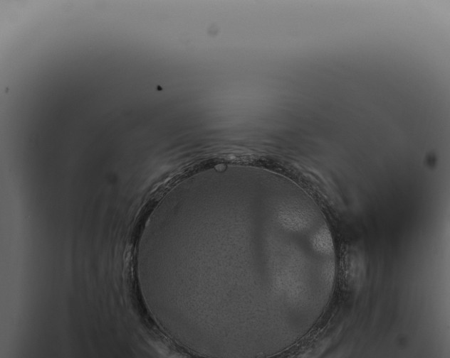 X0000098000511200804011836