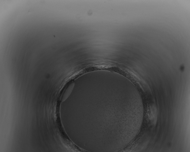 X0000098000512200804011836