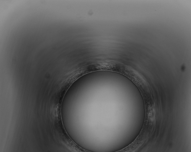 X0000098000514200804011836