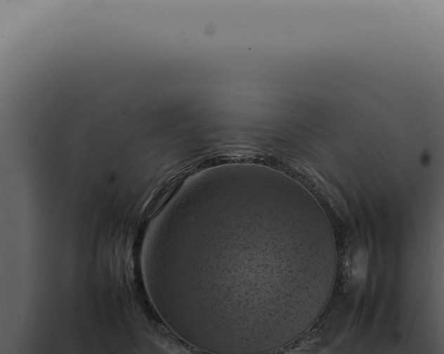 X0000098000516200804011836