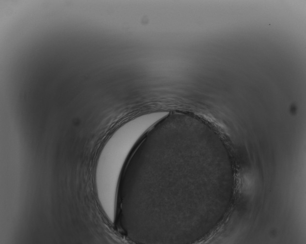 X0000098000517200804011836