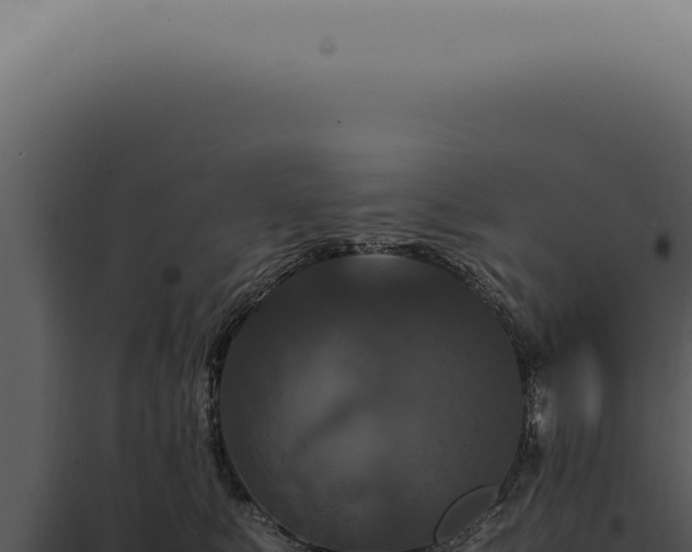 X0000098000519200804011836