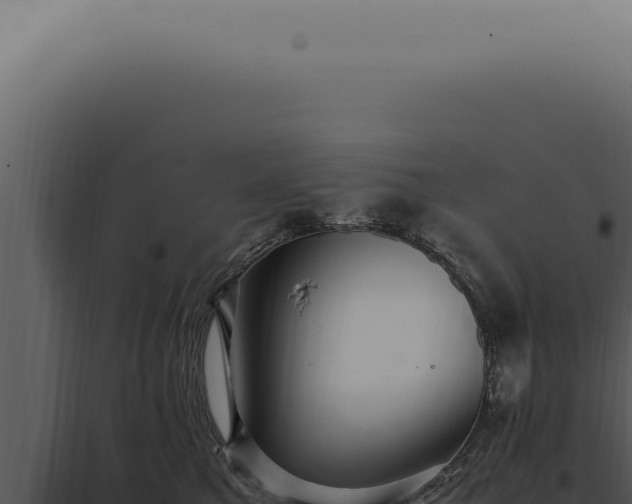 X0000098000521200804011836
