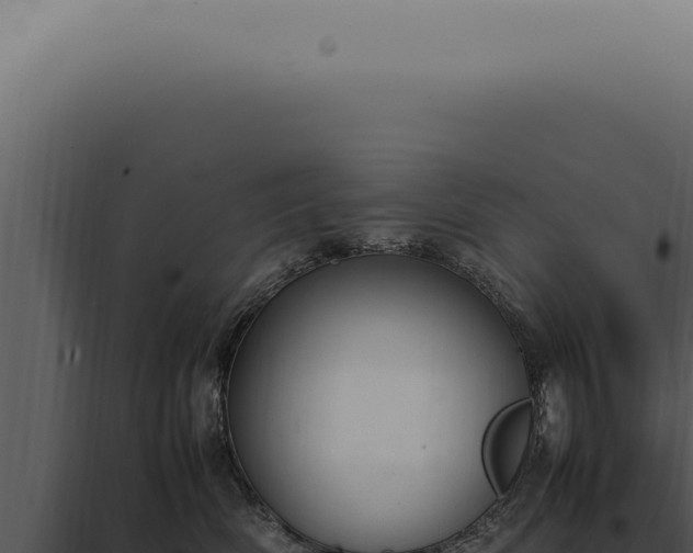 X0000098000522200804011836
