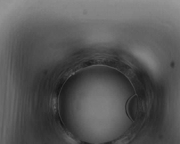 X0000098000526200804011836