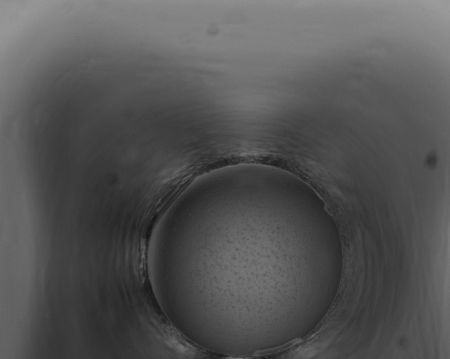 X0000098000528200804011836