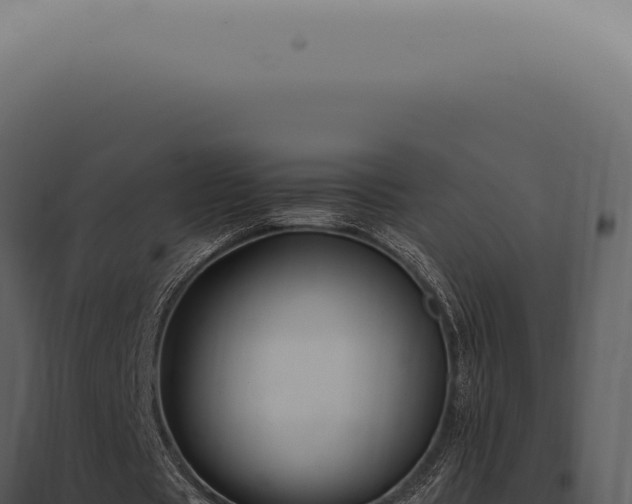 X0000098000529200804011835