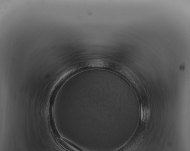 X0000098000531200804011835