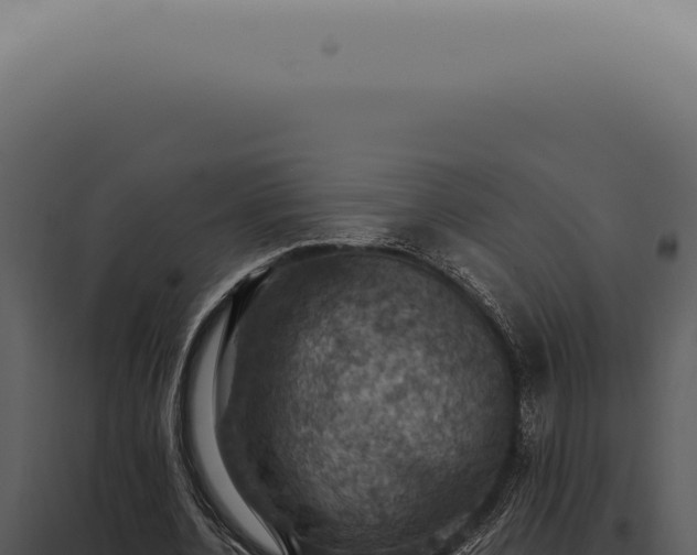 X0000098000532200804011835