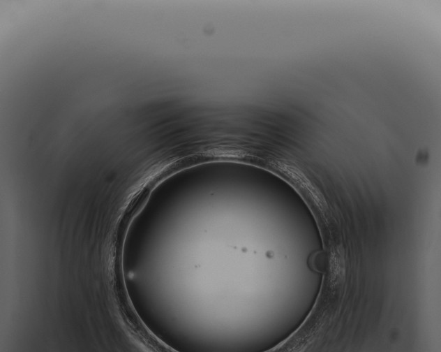 X0000098000533200804011835