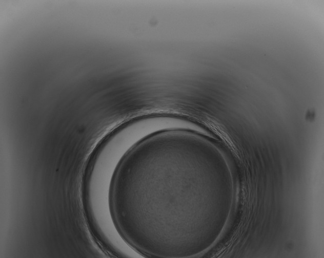 X0000098000534200804011835