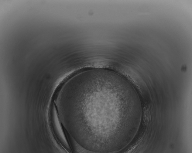X0000098000536200804011835