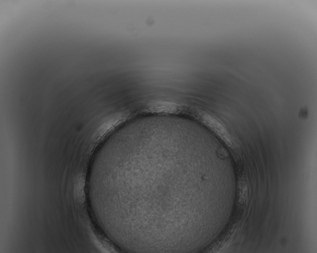 X0000098000538200804011835