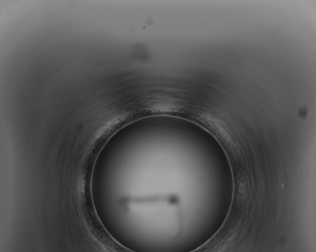 X0000098000539200804011835