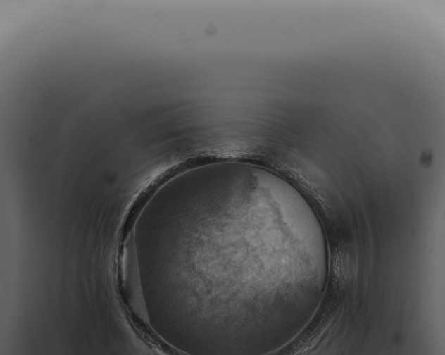 X0000098000540200804011835