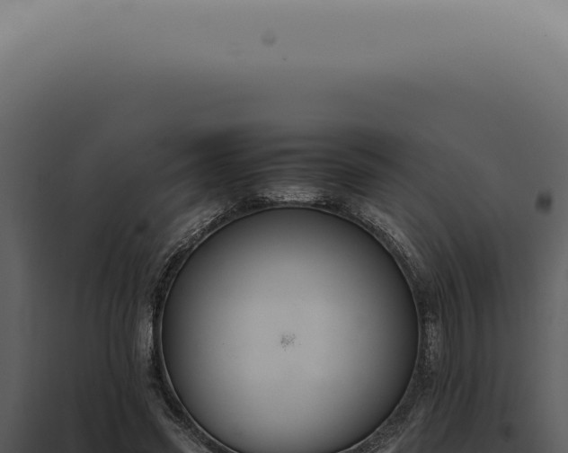 X0000098000541200804011835
