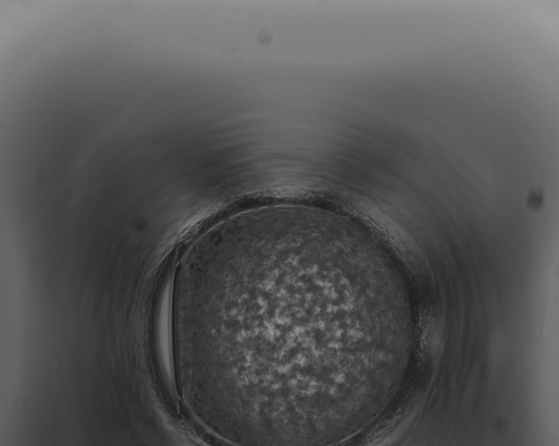 X0000098000542200804011835