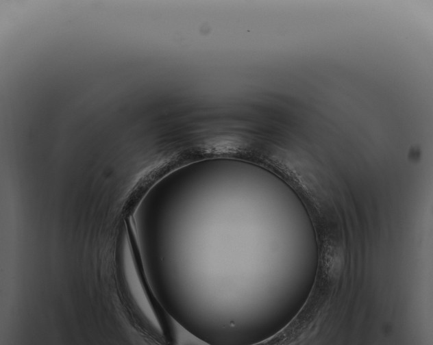 X0000098000543200804011835