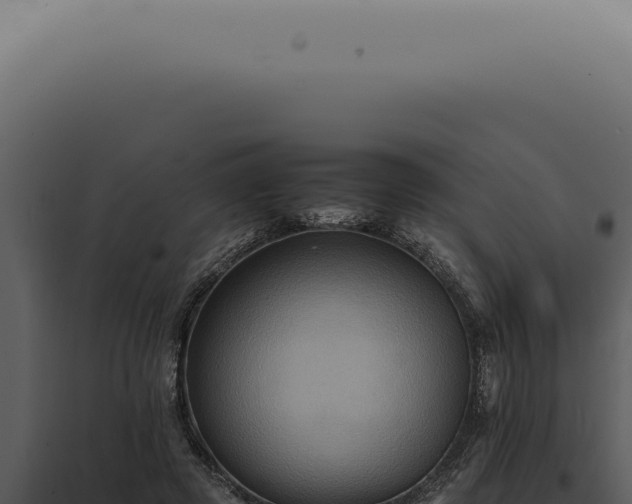 X0000098000545200804011835