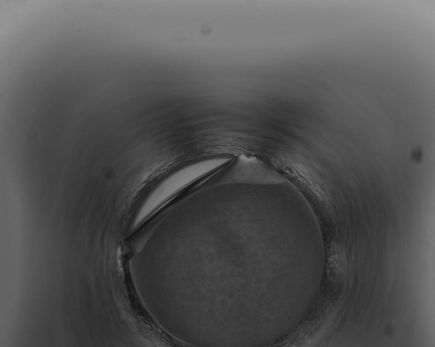 X0000098000547200804011835