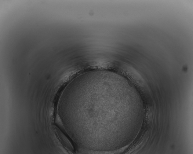 X0000098000548200804011835