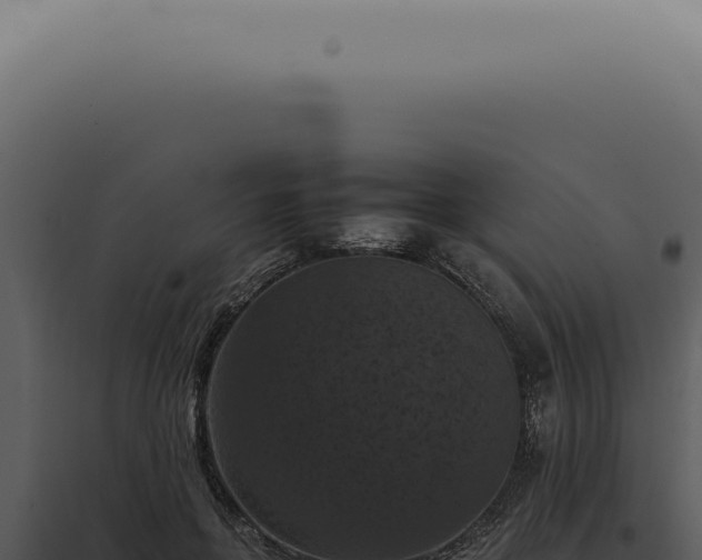 X0000098000551200804011835