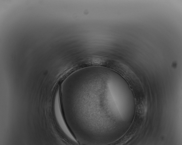 X0000098000552200804011835