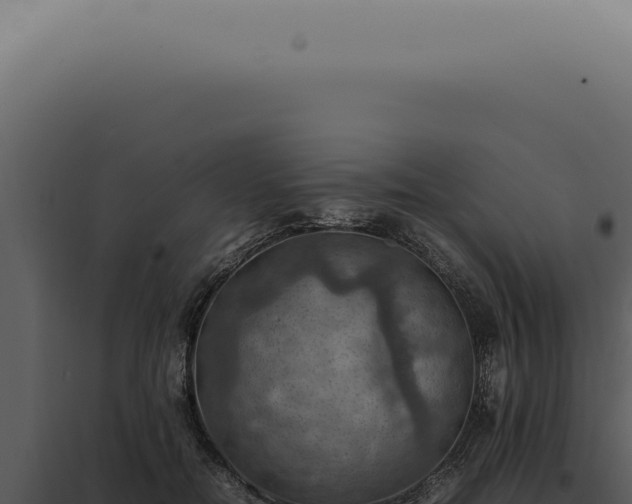 X0000098000554200804011835