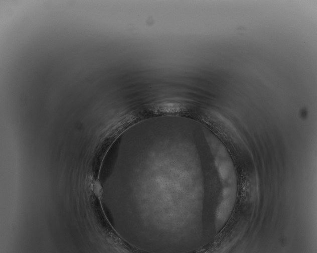 X0000098000555200804011835