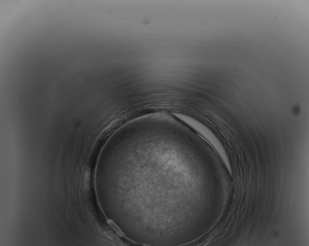 X0000098000556200804011835
